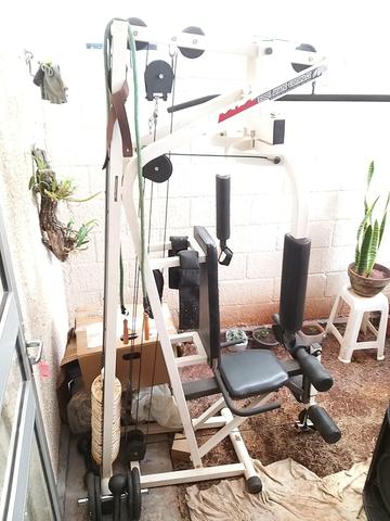 Musculação