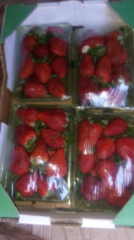 Morangos delivery - Foto 2