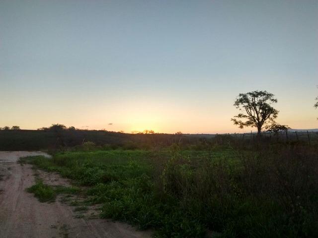 Lotes, lote, Terreno, Terra, Loteamento em Surubim - Foto 5