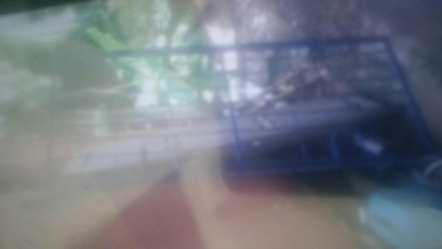 Grade pra porta