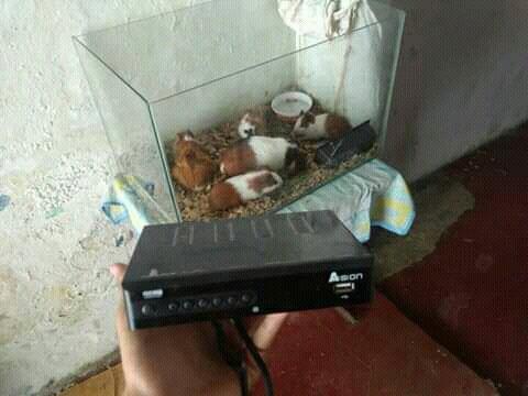 Troco - Foto 5