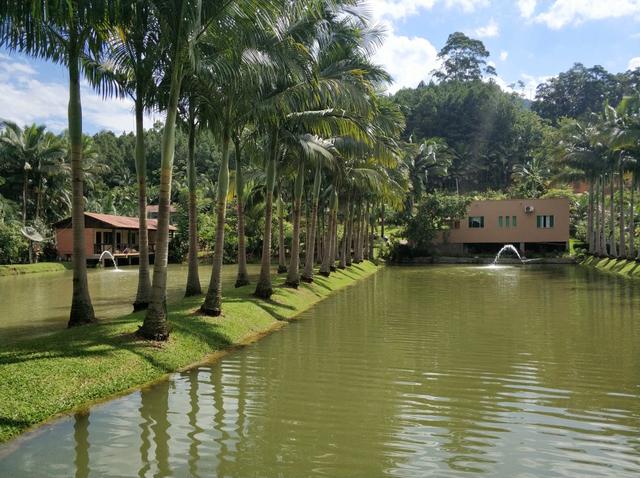 Lindo sitio urbano a menos de 4 km do centro da cidade 3 casas piscina lagoa - Foto 9