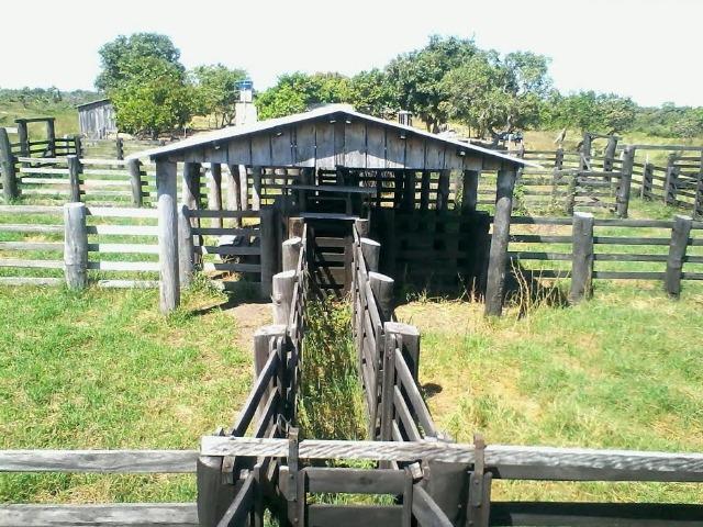 Fazenda em Luciara, MT - Foto 3