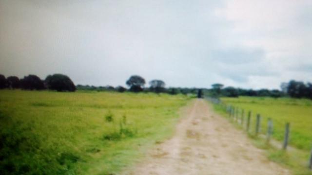 Fazenda 88 mil hectares de porteira fechada localizada na transpantaneira 220 km de Cuiabá - Foto 6