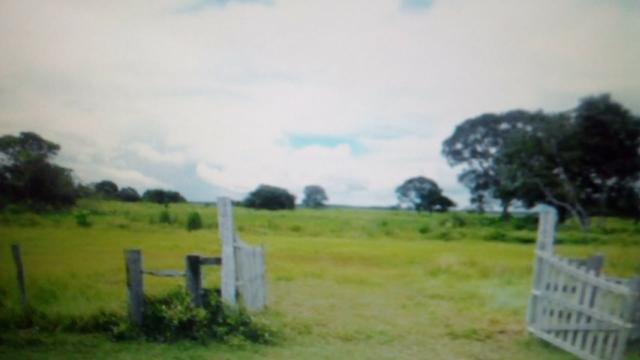 Fazenda 88 mil hectares de porteira fechada localizada na transpantaneira 220 km de Cuiabá - Foto 12