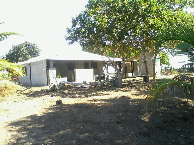 Fazenda em Luciara, MT - Foto 11