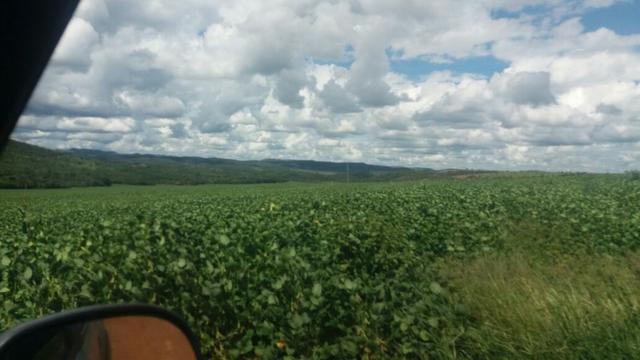 Fazenda à venda: 130 km de Brasília - DF, 1.683 hectares - R$ 40.000.000,00 - Foto 3