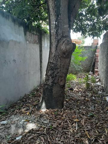 Vendo ou troco terreno no Planalto - Foto 3