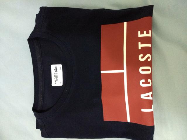 Camiseta Lacoste original - Foto 2