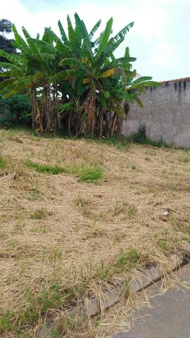 Lote - Foto 4