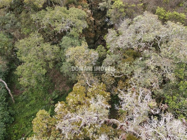 Ampla Área com Vista na Região do Alpes de Campos do Jordão - Campos do Jordão/SP - Foto 9