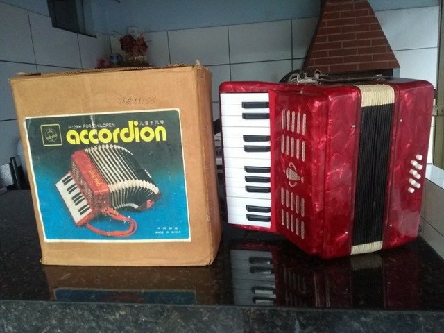 Vendo sanfona acordeon - Foto 2