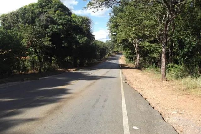 Lindo sitio de 20 mil metros(Baldim) Temos varias opções). - Foto 4