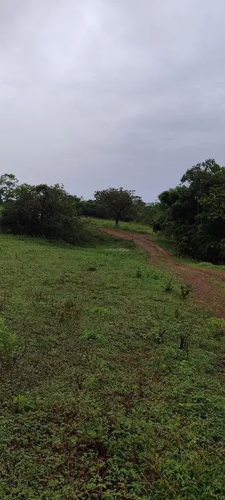Chácara em Aragoiania  - Foto 3