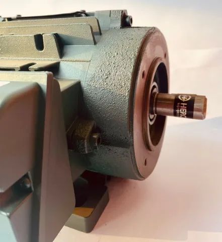 Motor 1CV 4Polos - 1735 rpm - NOVO