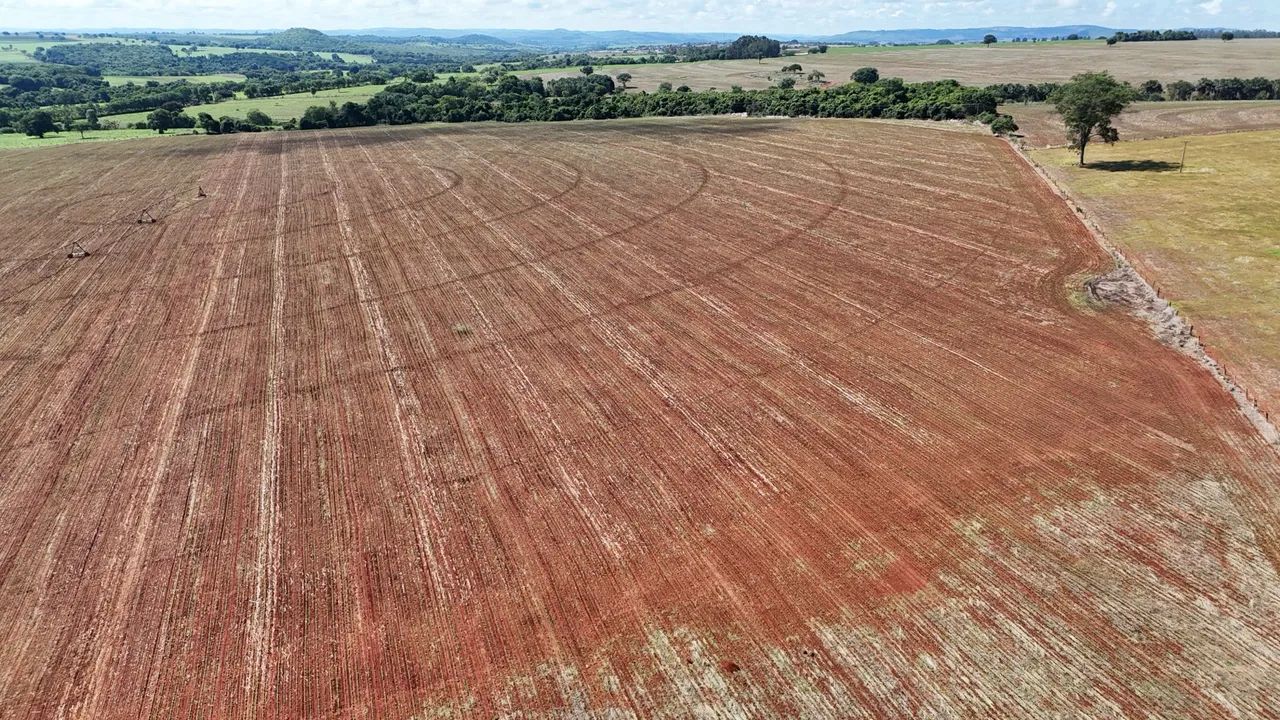 Fazenda em pontalina-go