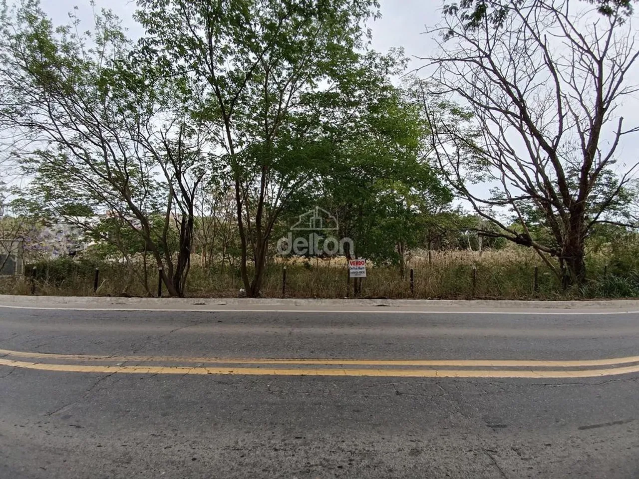 Áreas comerciais frente BR 259 São Vitor - GV