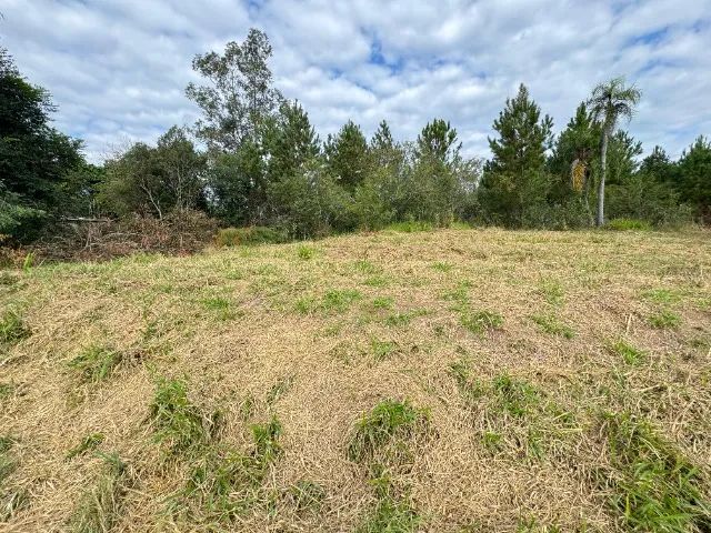 Terreno 300m2 - Foto 5