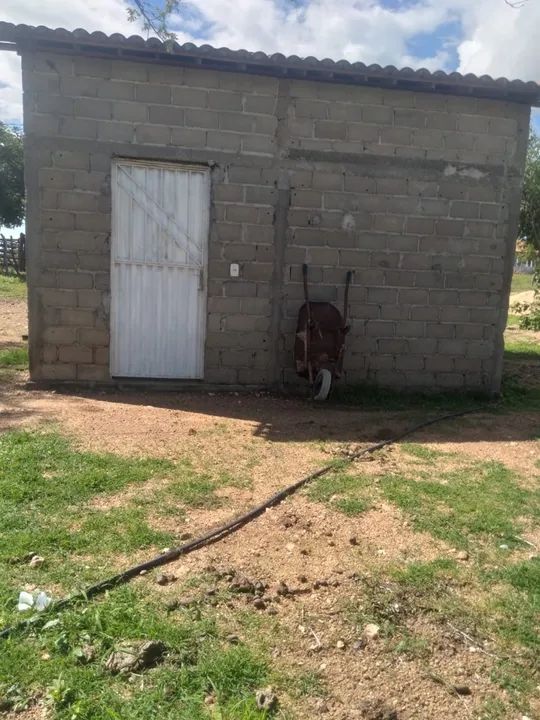 Sítio próximo à cidade de Piancó-PB - Foto 3