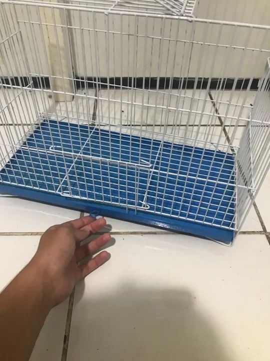 Gaiola Nova para Venda( sem nenhum desgaste) - Foto 3