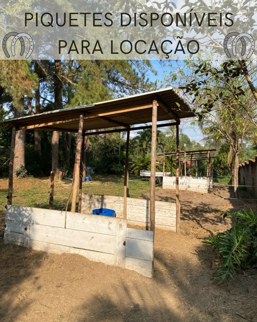 Piquetes para cavalo