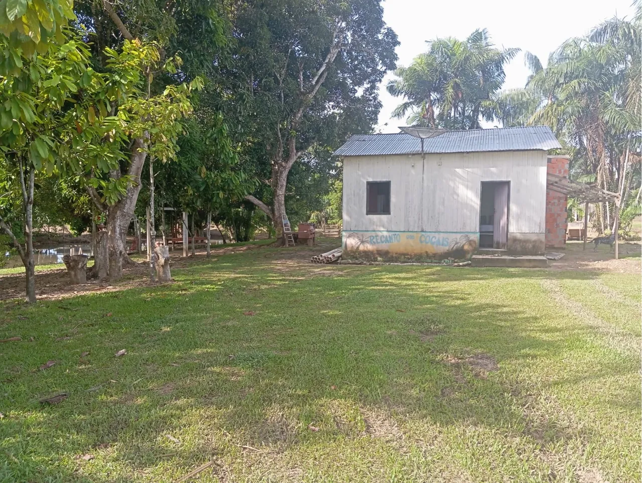 Vende- se essa chácara em Feijó- Ac.