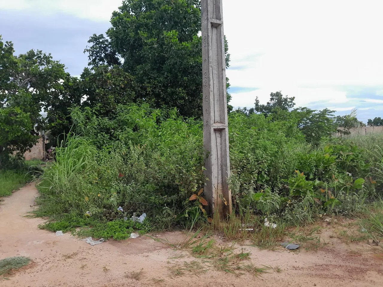 Terreno