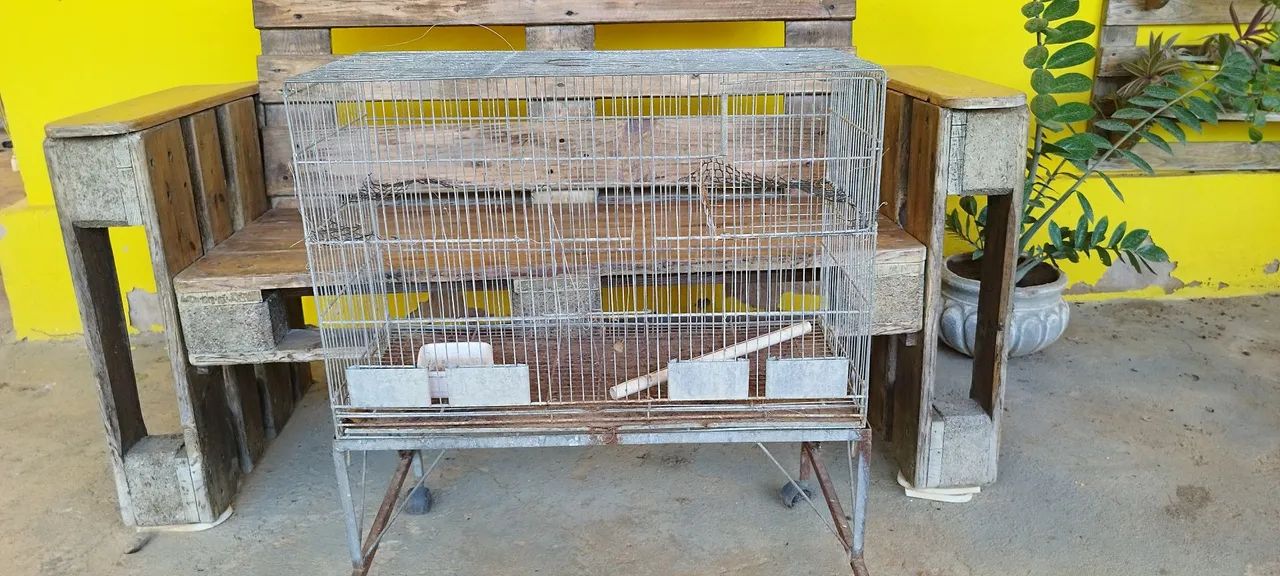 Gaiola 64304560613890120