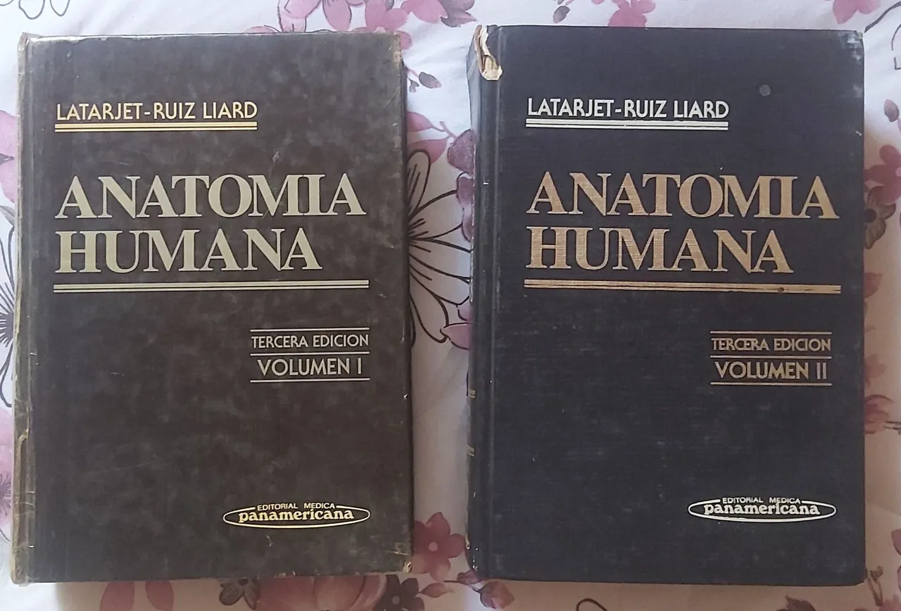 Anatomia Humana - Latarjet-Ruiz Liard (Volumes I e II)