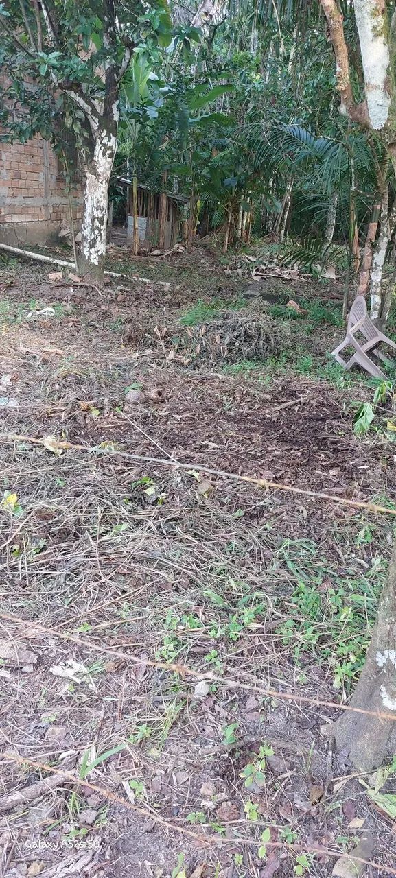 Terreno - Foto 2