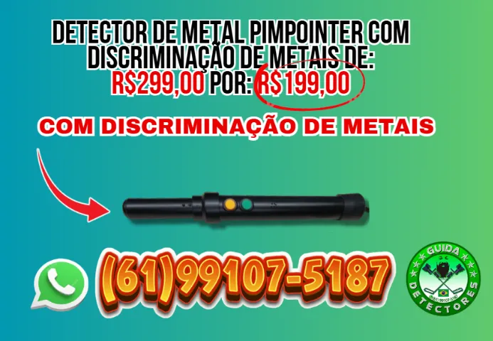 DETECTOR DE METAL PROFISSIONAL 4.0 + PIMPOINTER DE BRINDE