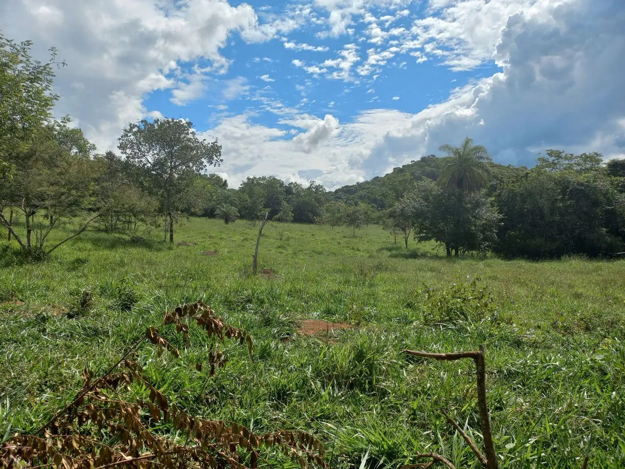 Terreno 40 hectares com córrego  - Foto 5