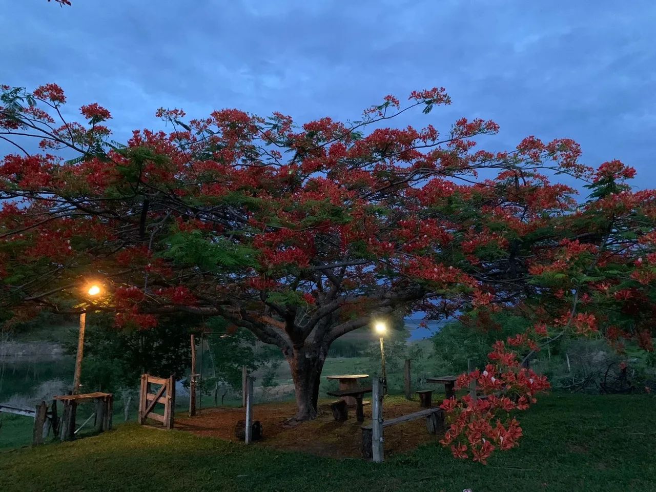 Sítio em cascalho rico  - Foto 2