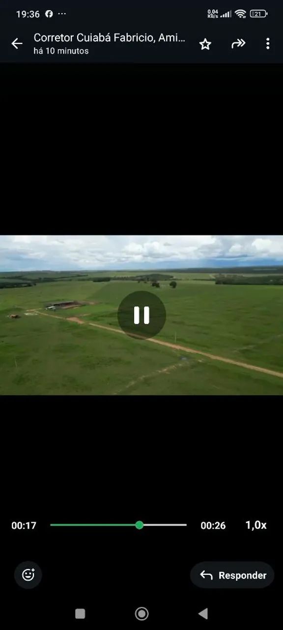 Fazenda de arrendamento 1.100hec em Itiquira MT. - Foto 5