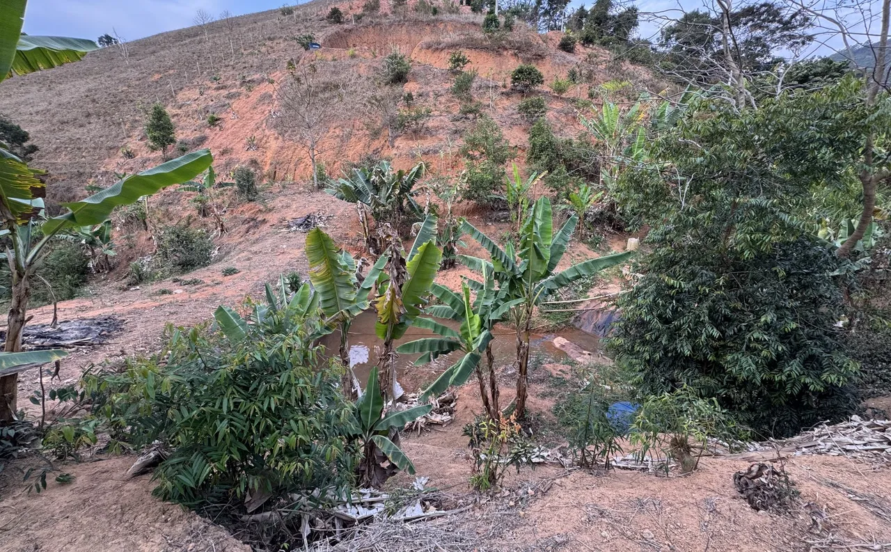Chácara a 800m do Centro de Conceição do Castelo