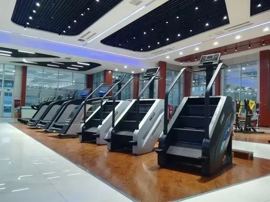 Simulador de Escadas Profissional - Stair Climber TZ-N2040B | Equipamento de Academia - Foto 2