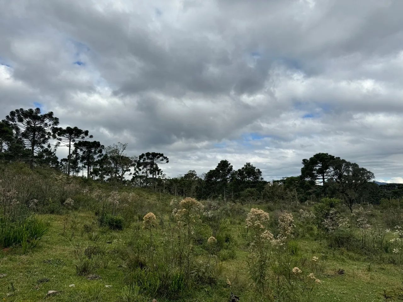 Sitio em Urubici/ Chácara em Urubici - Foto 3