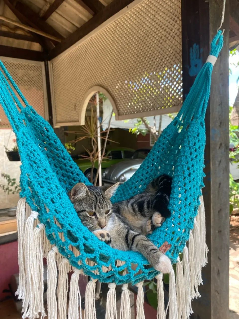 Redes para Pets  - Foto 4