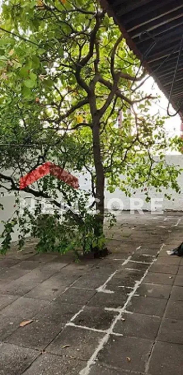 Casa em Rua Antônio de Souza Leão - Jardim Oceania - João Pessoa/PB - Foto 3