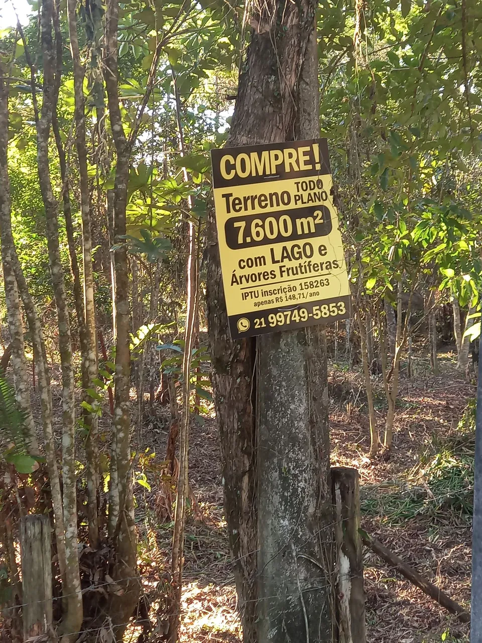 Compre terreno plano para chácara ou sítio.