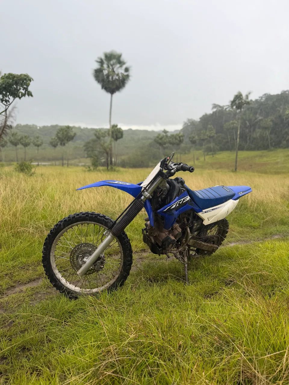 CRF 230f 