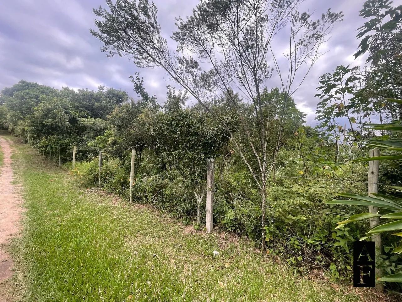 Terreno na Praia do Rosa - Foto 2