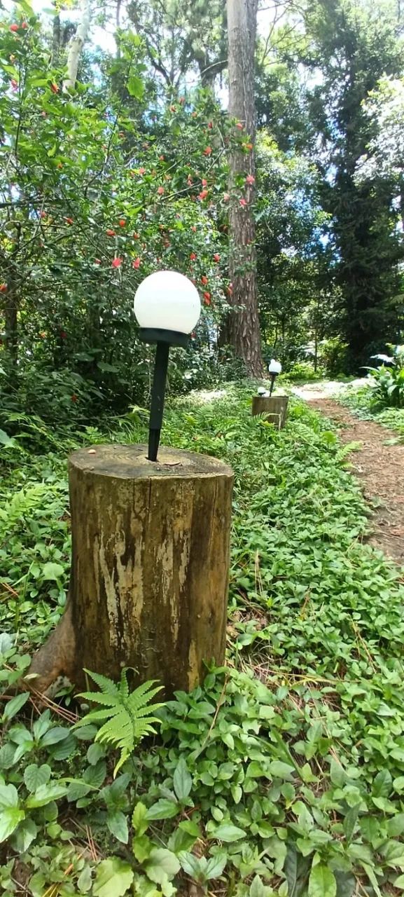 Luminária solar de jardim - Foto 4