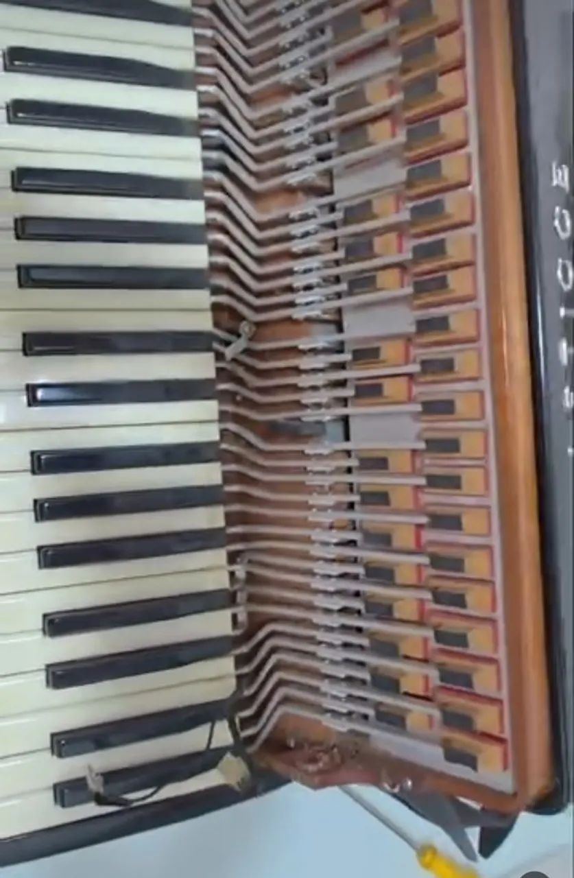 Acordeon Luthier - Juniu Bala - Foto 2