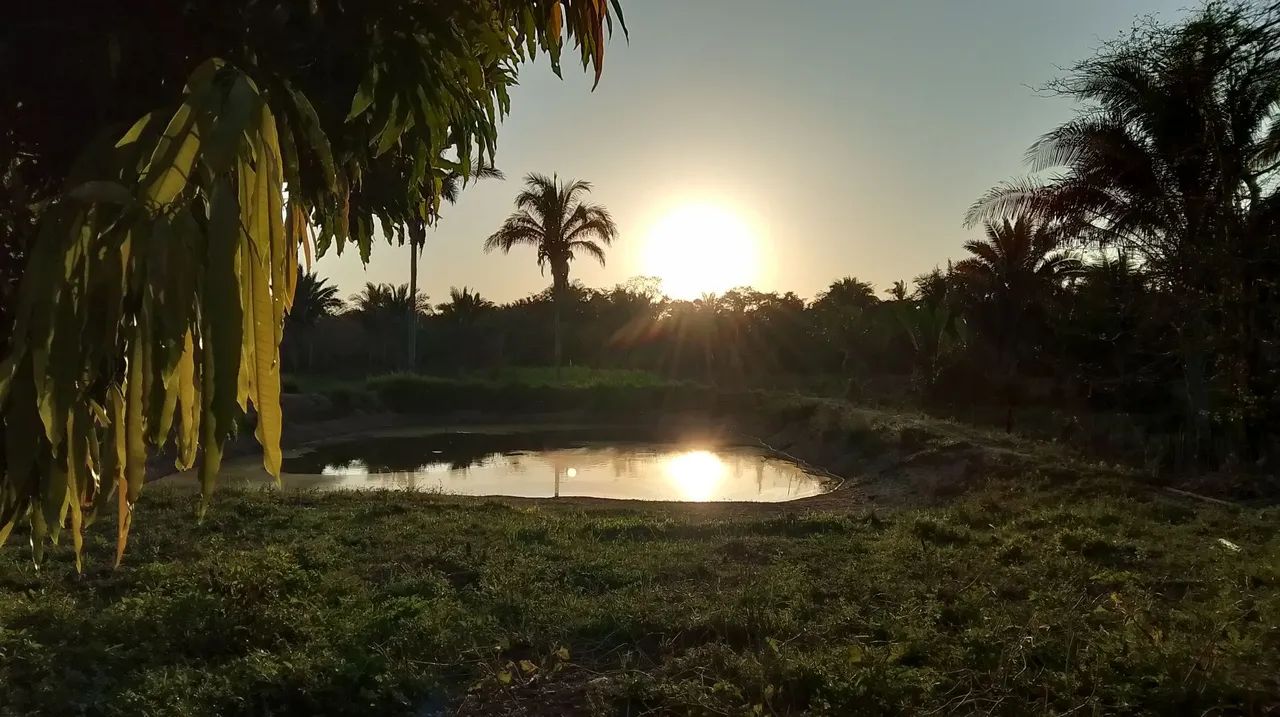 Excelente Sítio em Bacabal - MA | Com Açude, Pomar e Casa (Perfeito para Lazer!) - Foto 2