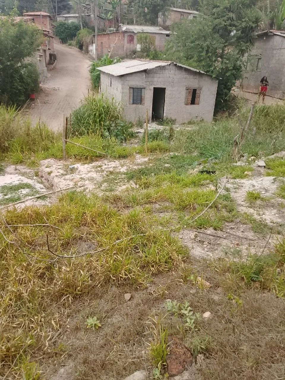 lote - Foto 3