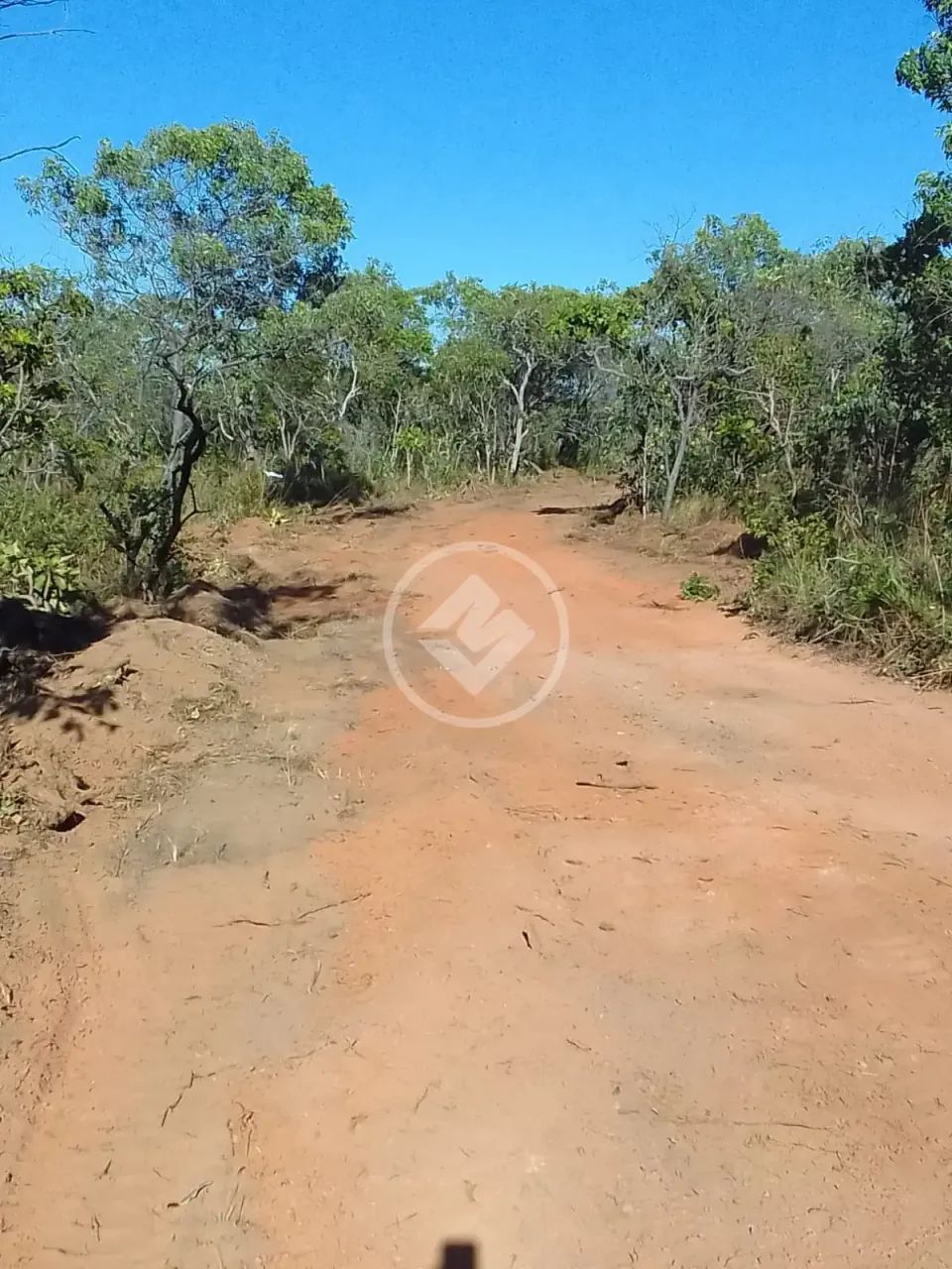 Rio Sono - Fazenda de 488 Alqueires no Povoado de Mansinho codigo: 308940 - Foto 2