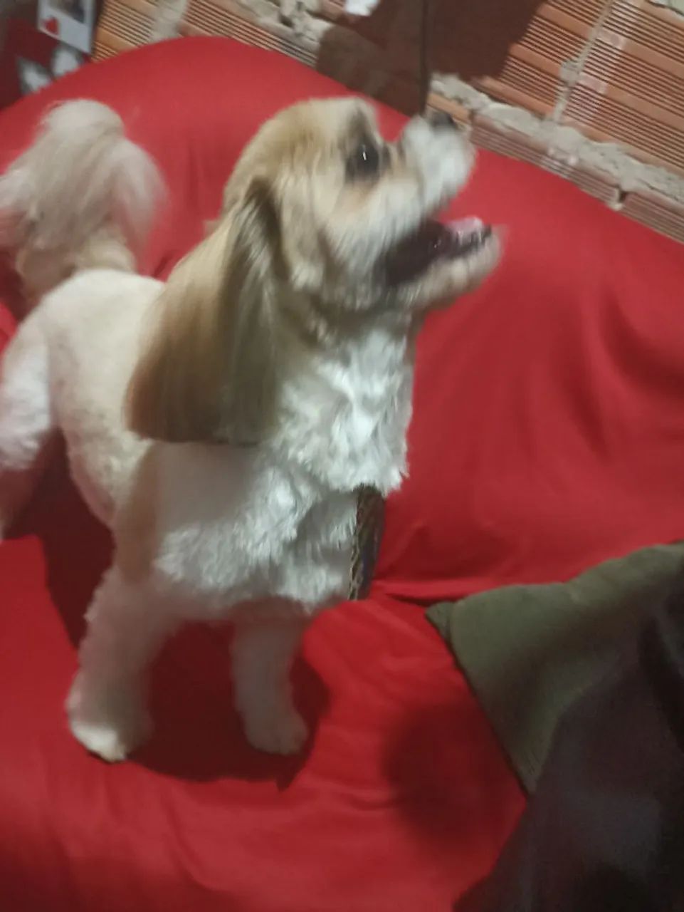 Meu nome e Thor  - Foto 2