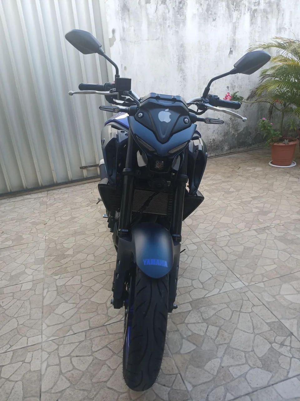MT 03 2024  - Foto 5