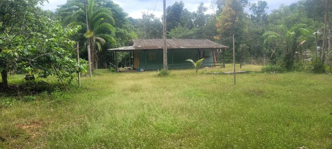 Sitio no  Ramal castanehira  - Foto 5